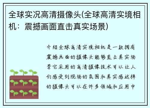 全球实况高清摄像头(全球高清实境相机：震撼画面直击真实场景)