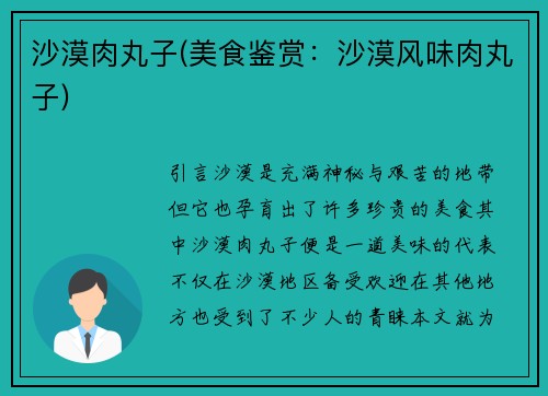沙漠肉丸子(美食鉴赏：沙漠风味肉丸子)