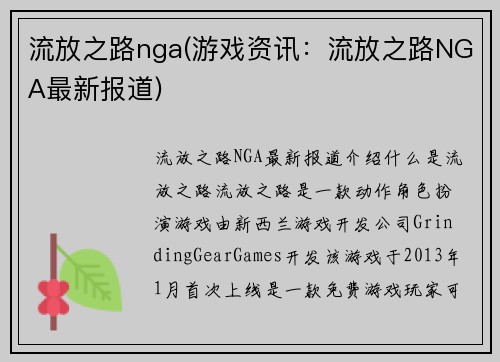 流放之路nga(游戏资讯：流放之路NGA最新报道)